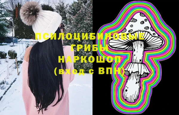 бошки Волоколамск