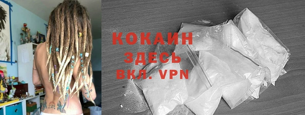 твердый Инсар