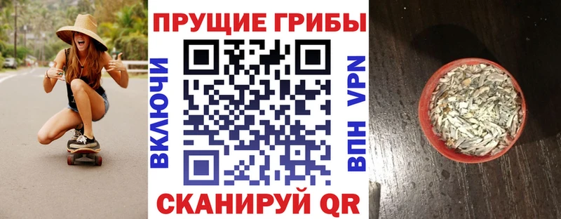 это какой сайт  Карачев  Галлюциногенные грибы Psilocybine cubensis 