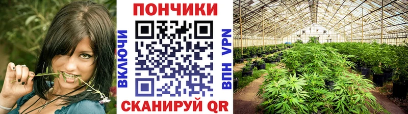 это наркотические препараты  продажа наркотиков  Карачев  Шишки марихуана Bruce Banner 